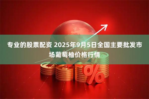 专业的股票配资 2025年9月5日全国主要批发市场葡萄柚价格行情